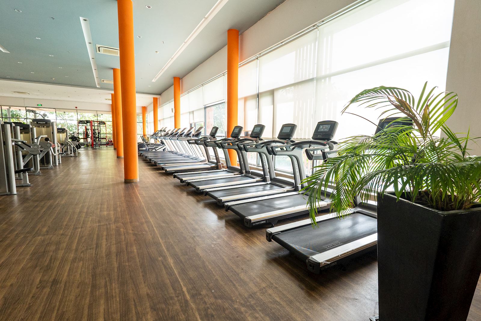 Dàn máy tập luyện tại Celadon Sports Club